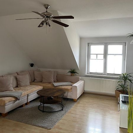 Bambus, Jungle, Dachterrasse & Bequem Bis Zentrum Radebeul Kültér fotó