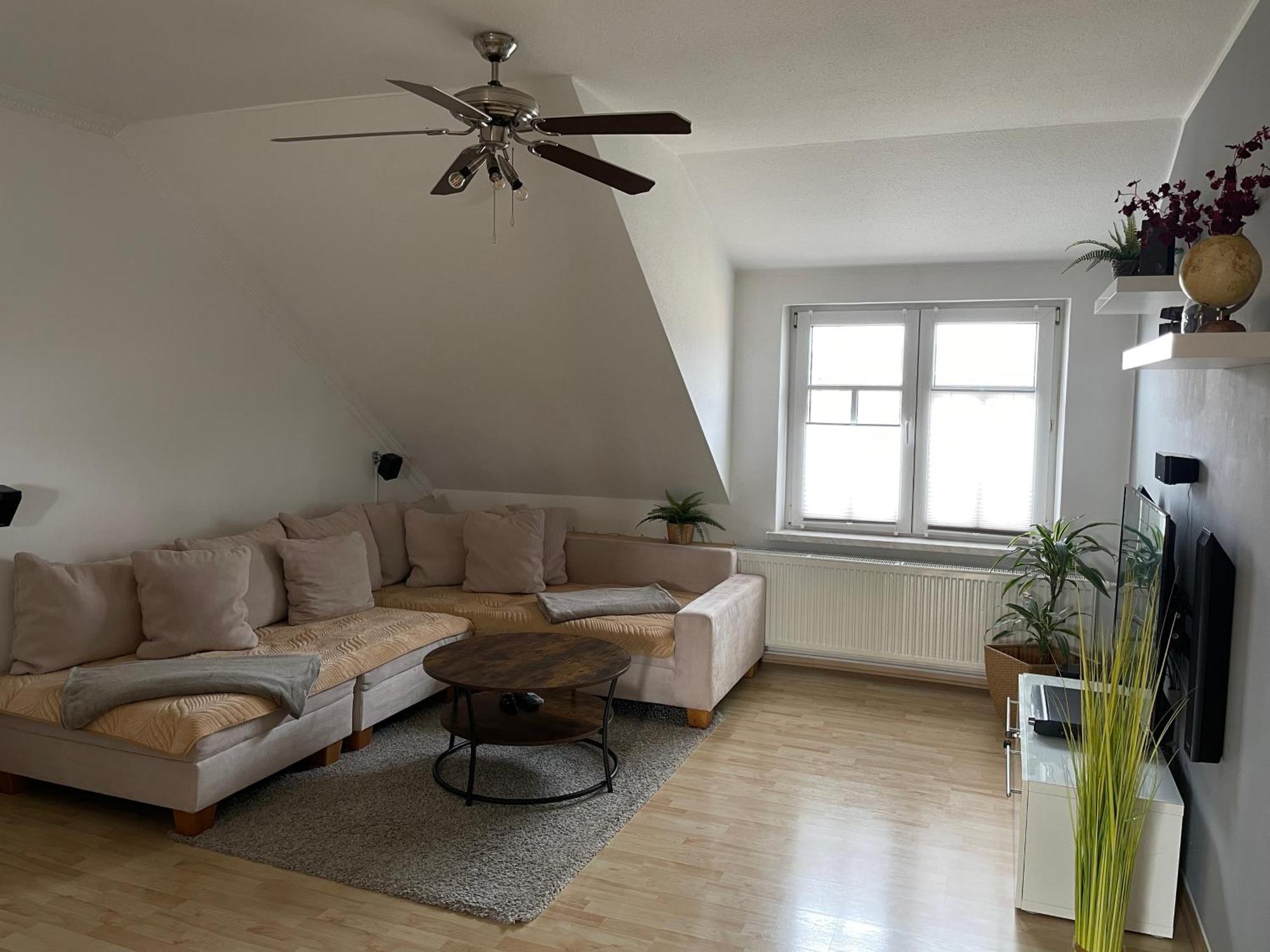 Bambus, Jungle, Dachterrasse & Bequem Bis Zentrum Radebeul Kültér fotó